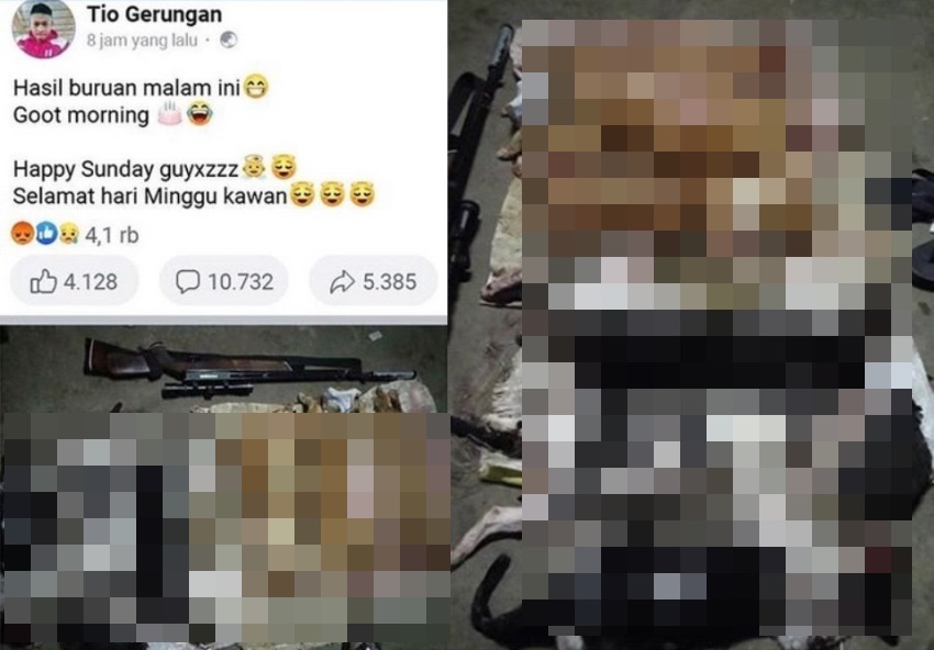 Tembaki Kucing hingga Mati Aksi Pria di Tomohon ini Tuai Kecaman