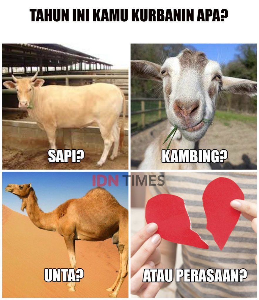 10 Meme Idul Qurban 1440 Hijriah