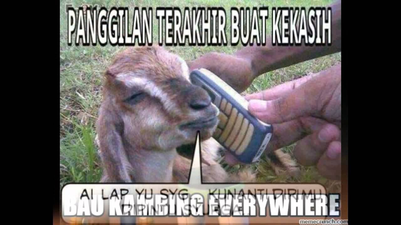 Kumpulan Meme Idul Adha 2019 Terbaru Dan Kocak