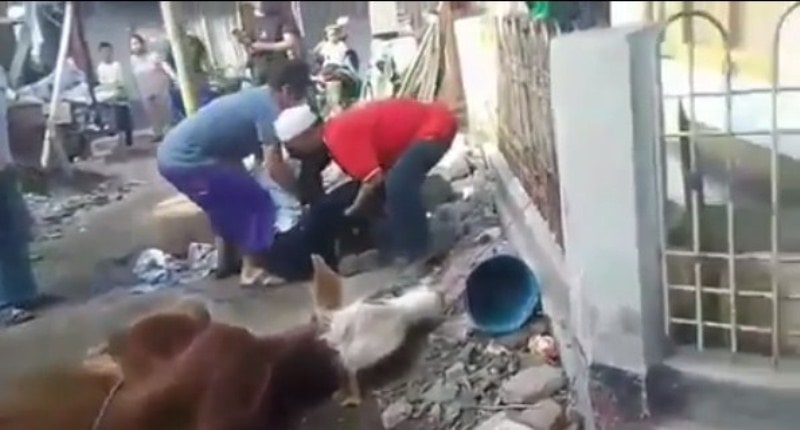 Diduga Kelelahan Jagal Kurban di Cimahi Meninggal saat Hendak Sembelih Sapi min