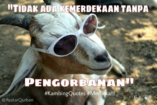 Kumpulan Meme Idul Adha 2019 Terbaru dan Kocak