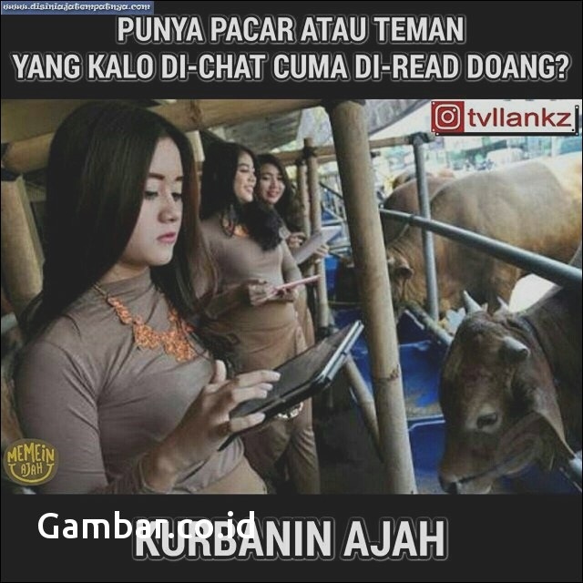 Meme Idul Adha Sapi