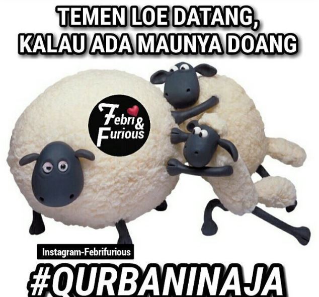 Meme Idul Qurban Shaun The Sheep