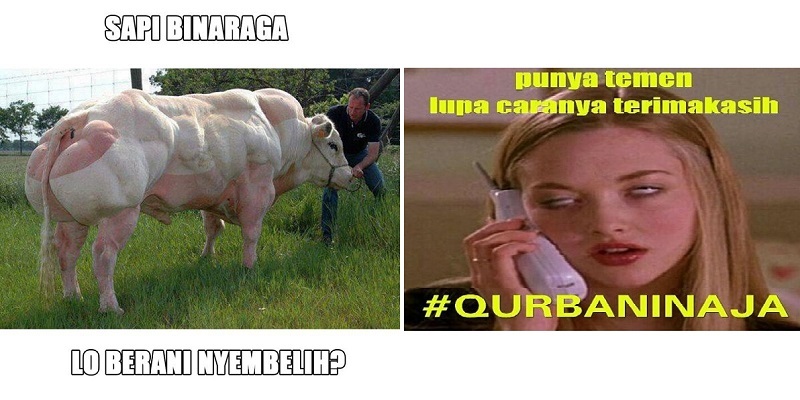 Meme Kurban Perasaan