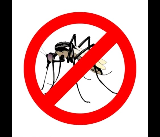 Aplikasi usir nyamuk paling ampuh