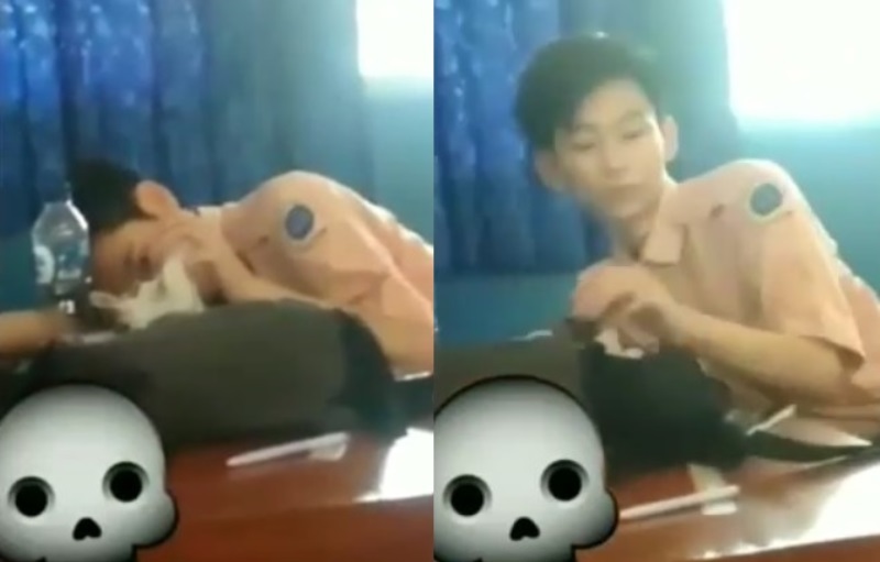 Asyik Main Bersama Kucing di Dalam Kelas Video Siswa Ini Viral