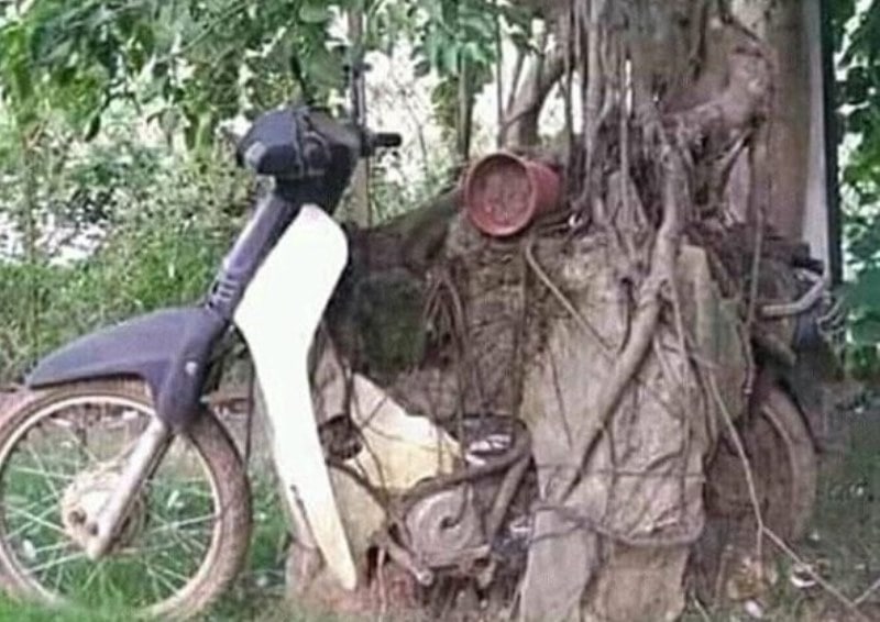 Potret Motor Jadul Tahun 90 an Viral Netizen Pohonnya Kayak Lagi Duduk
