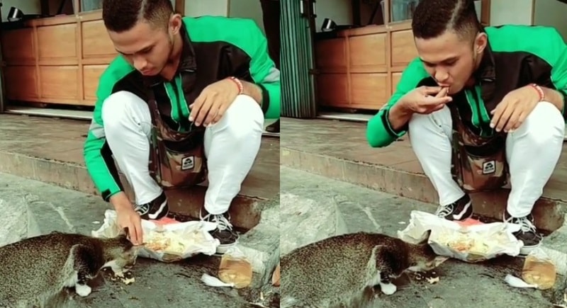 Bikin Netizen Kagum Abang Driver Ojol Makan di Emperan Bareng Kucing