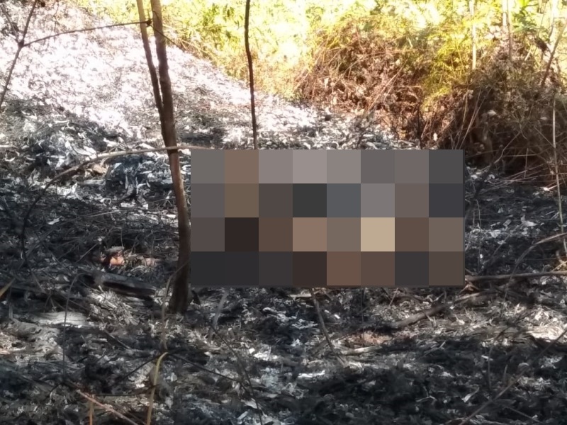 Kebakaran Kebun di Cileungsir wanita paruh baya ditemukan tewas mengenaskan