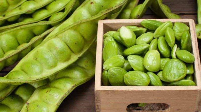 Manfaat Petai Untuk Kesehatan