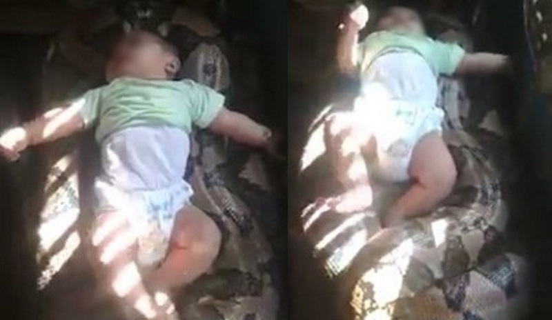 VIDEO Bayi Tidur di Atas Tubuh Ular Piton Raksasa Netizen Bahaya Itu