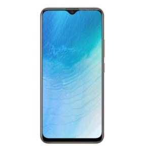 Vivo Y19