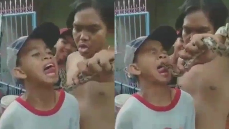 Bercanda dengan Ular Piton Bocah ini Malah Alami Nasib Nahas