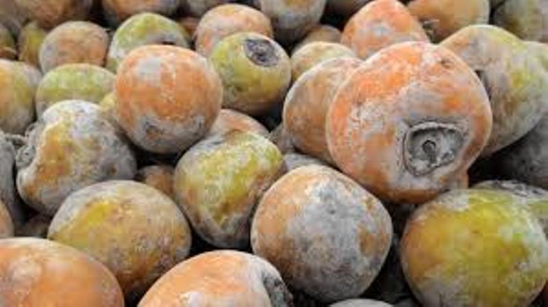 Manfaat Buah Kesemek Bagi Kesehatan dan Kecantikan