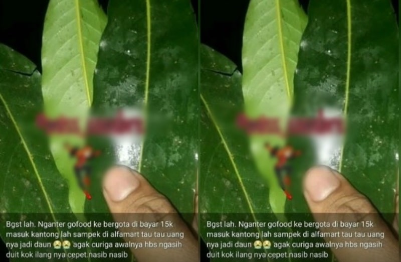 Ngeri Driver Ojol Bagikan Kisah Mistis Uang dari Pelanggan Berubah Jadi Daun