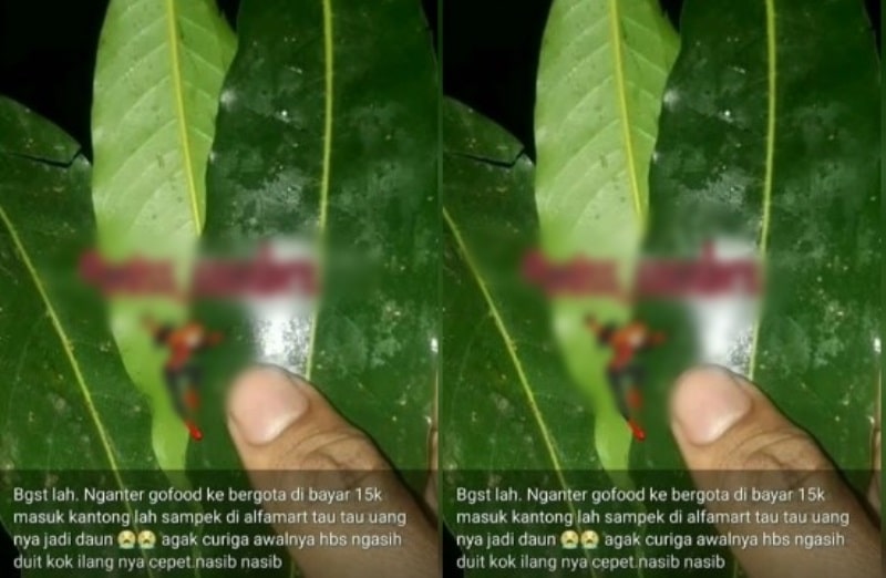 Ngeri Driver Ojol Bagikan Kisah Mistis Uang dari Pelanggan Berubah Jadi Daun