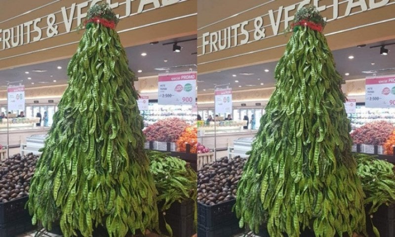 VIRAL Ada Pohon Natal Terbuat dari Petai