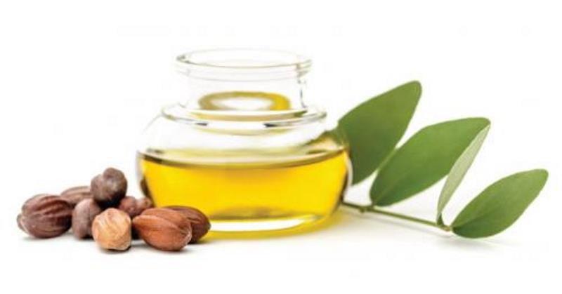 6 Manfaat Jojoba Oil Bisa Cegah Jerawat dan Bikin Awet Muda