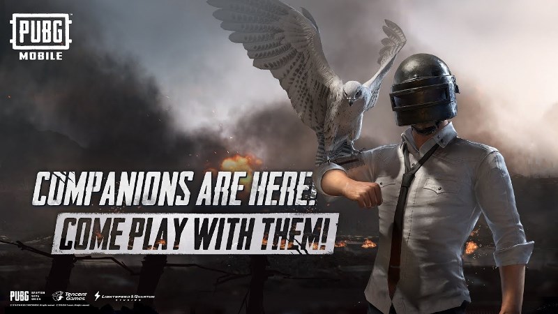 Cara mendapatkan falcon companion di PUBG Mobile secara gratis