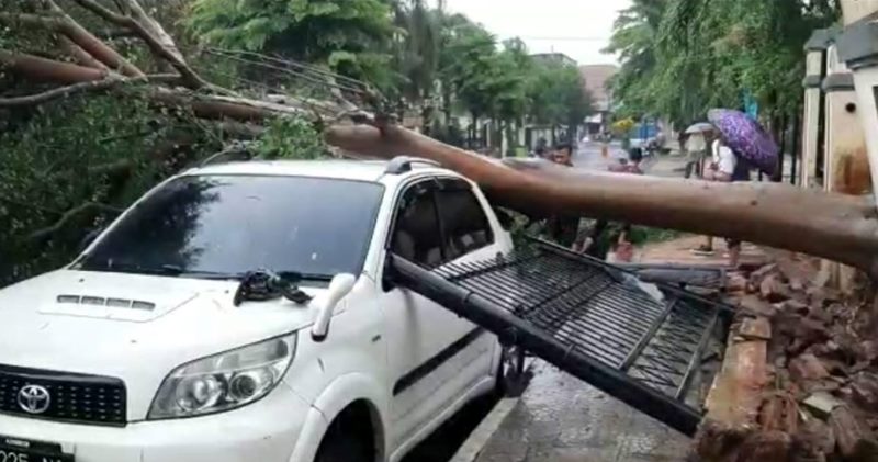 Dampak Hujan Deras dan Angin Kencang di Kota Banjar Mobil Rusak Usai Tertimpa Pohon Tumbang