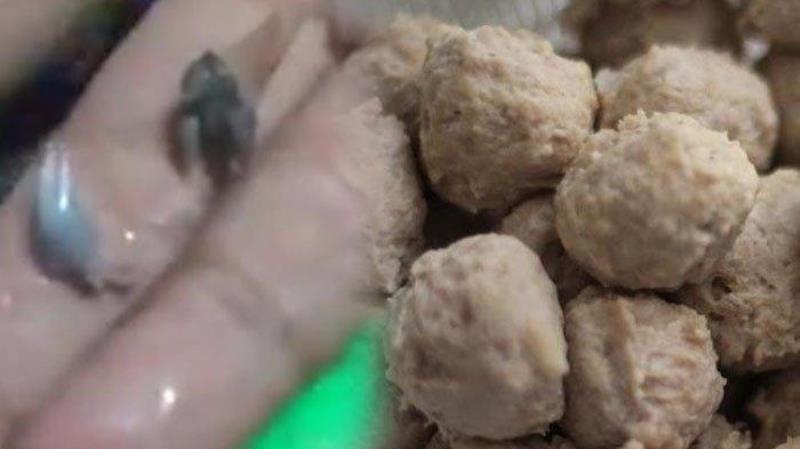 Sempat Viral Bakso Terbuat dari Daging Tikus di Madiun Begini Fakta Sebenarnya