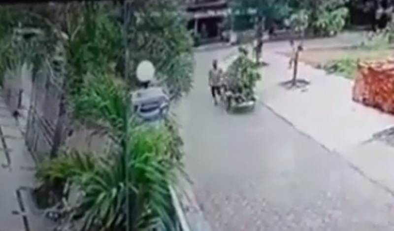 Ngakak Banget Pria ini Terlibat Aksi Kejar kejaran dengan Kambing dan Becak Miliknya