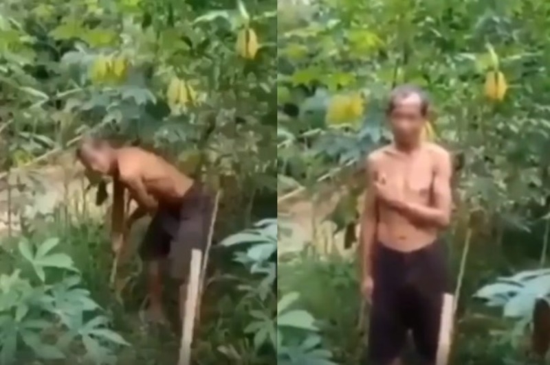 Kakek Terciduk Curi Singkong Karena Tak Punya Beras, Pemilik Kebun Malah Lakukan Hal Ini Kakek Terciduk Curi Singkong Karena Tak Punya Beras Pemilik Kebun Malah Lakukan Hal Ini