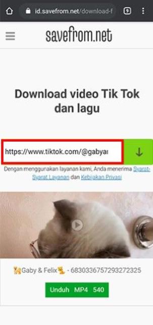 Cara cara menyimpan video TikTok