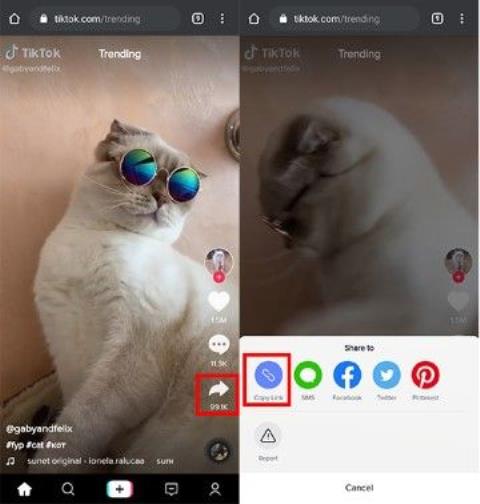 Cara download video TikTok