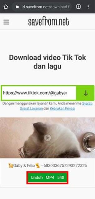 Cara mendownload video TikTok dengan mudah