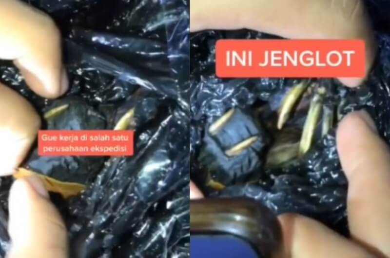 Dinilai Mencurigakan Pegawai Ekspedisi Bongkar Paket yang Ternyata Isi Jenglot