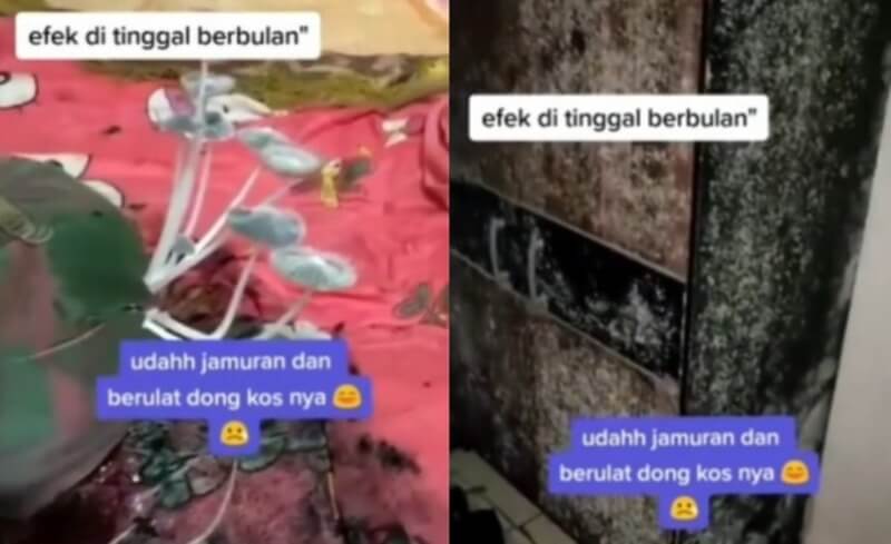 Ditinggal Berbulan bulan Hingga Penuh Jamur Kondisi Kamar Kos ini Bikin Syok