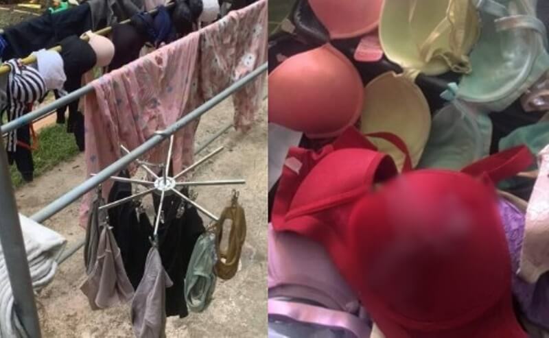 Kaum Wanita Resah Maling Jemuran Daleman Beraksi Untuk Puaskan Hasrat Seksual