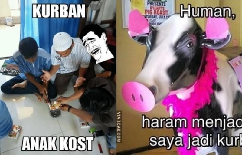 Kumpulan Meme Kurban Idul Adha 2020 Bener bener Gokil