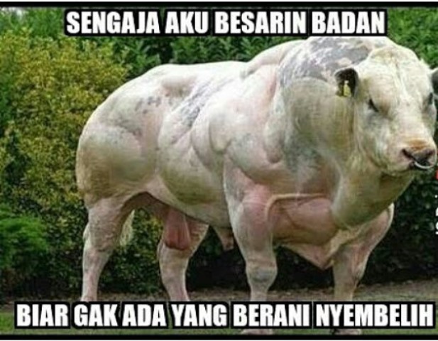 Meme Kurban Lebaran Haji