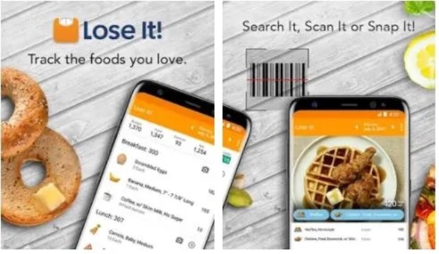 Aplikasi Diet Terbaik Lose It
