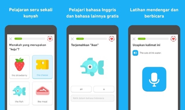 Aplikasi belajar bahasa Arab Duolingo