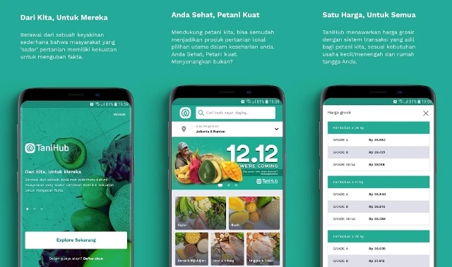 Aplikasi belanja sayur online Tanihub