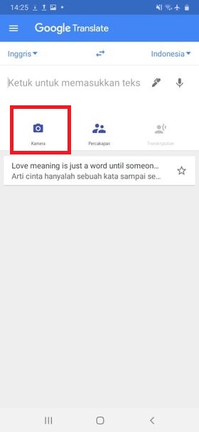 Tampilan Google Translate