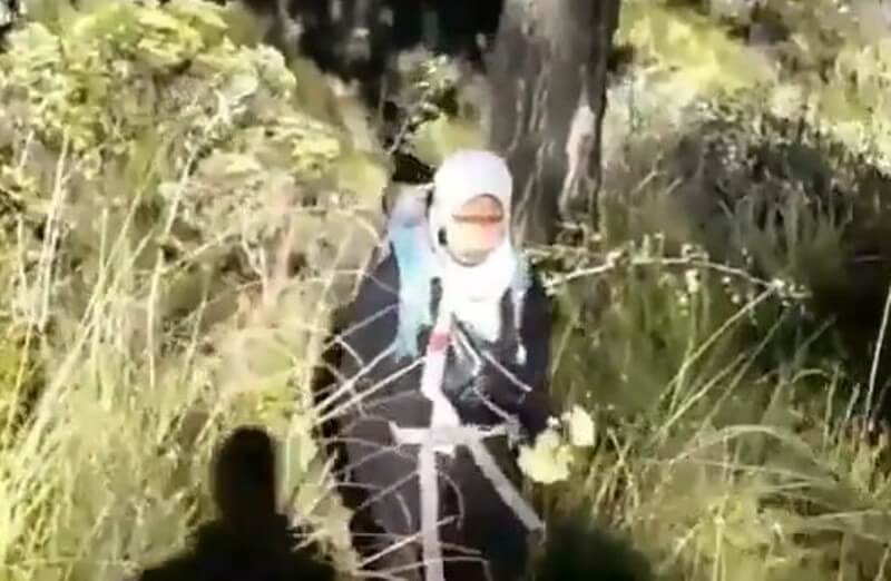 Heboh! Seorang Pendaki Wanita Memetik Bunga Edelweis, Malah Acuh Saat Ditegur Heboh Seorang Pendaki Wanita Memetik Bunga Edelweis Malah Acuh Saat Ditegur