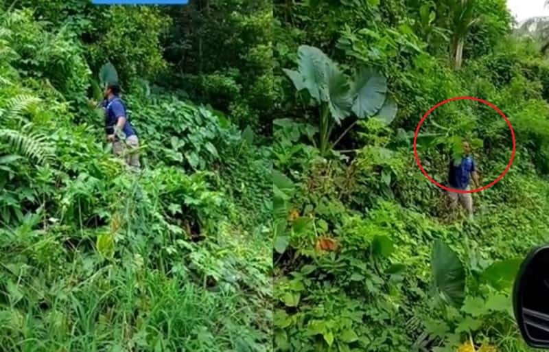 VIRAL Aksi Petugas BNN Cari Tanaman Hias di Hutan Buat Nambah Koleksi