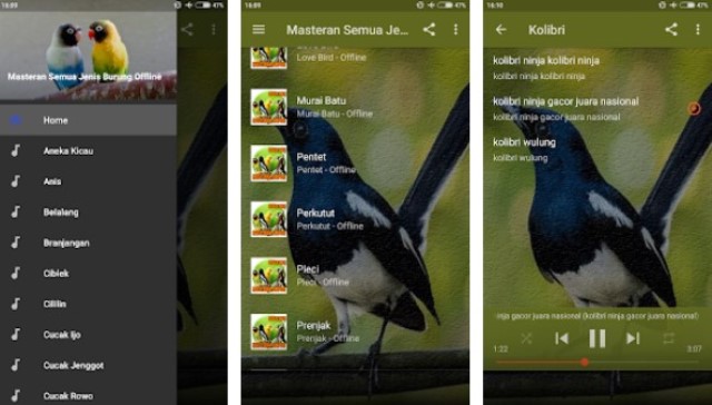 Masteran Semua Jenis Burung Offline Aplikasi Suara Burung Offline