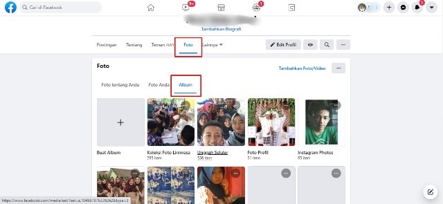 Penghapusan Album Photo di FB