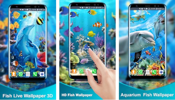 Aquarium Fish Live Wallpaper : Fish Backgrounds HD