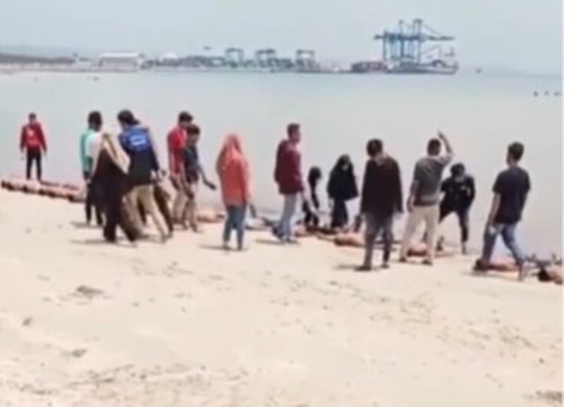 Beredar Video Aksi Perpeloncoan Mahasiswa Universitas Halu Oleo di Pantai Saat LDK