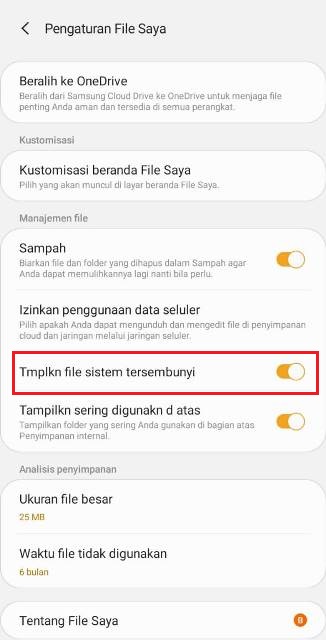 Cara Menampilkan File Tersembunyi