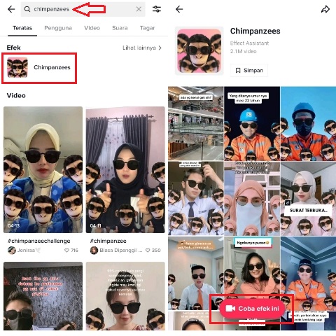 Cara Mencari Efek di TikTok