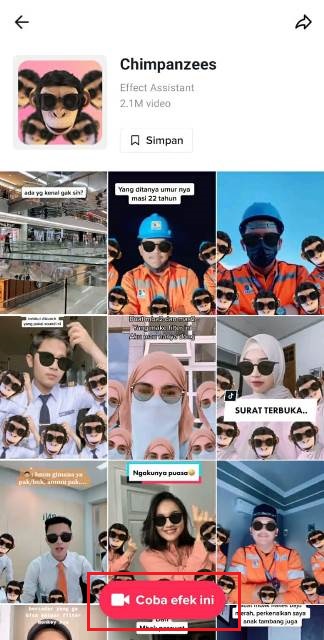 Cara Mencoba Efek di TikTok