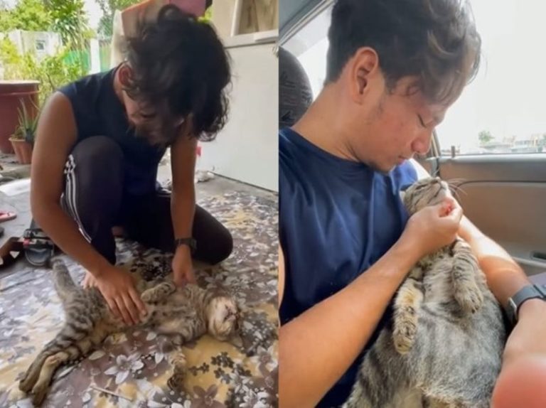 Bikin Ikut Sedih Begini Momen Saat Pria Nangis Histeris Karena Kucing Kesayangannya Mati