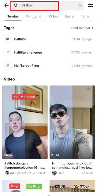 Cara Menggunakan Efek Half Filter di TikTok